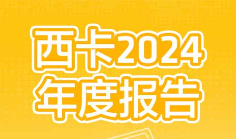 西卡2024年度报告，新鲜出炉！